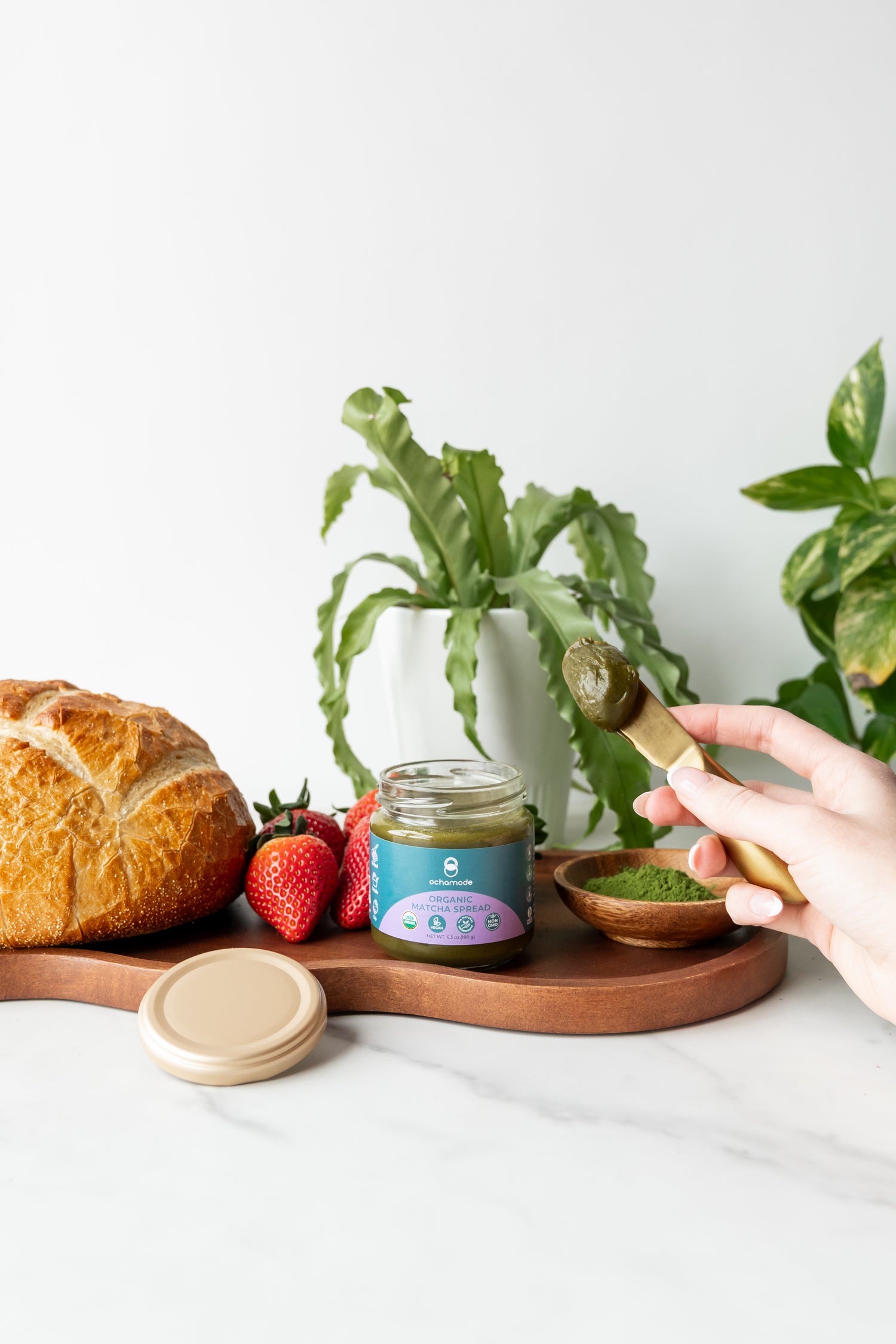 ORGANIC MATCHA SPREAD
