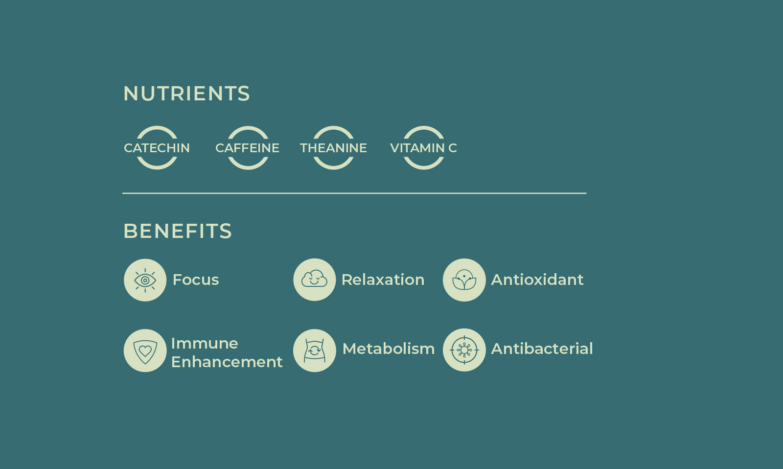 Fukamushi Sencha Nutrients Cathechin Cafeine Theanine Vitamin C Fukamushi Sencha Benefits Focus Relaxation Antioxidant Immune Enhancement Metabolism Antibacterial
