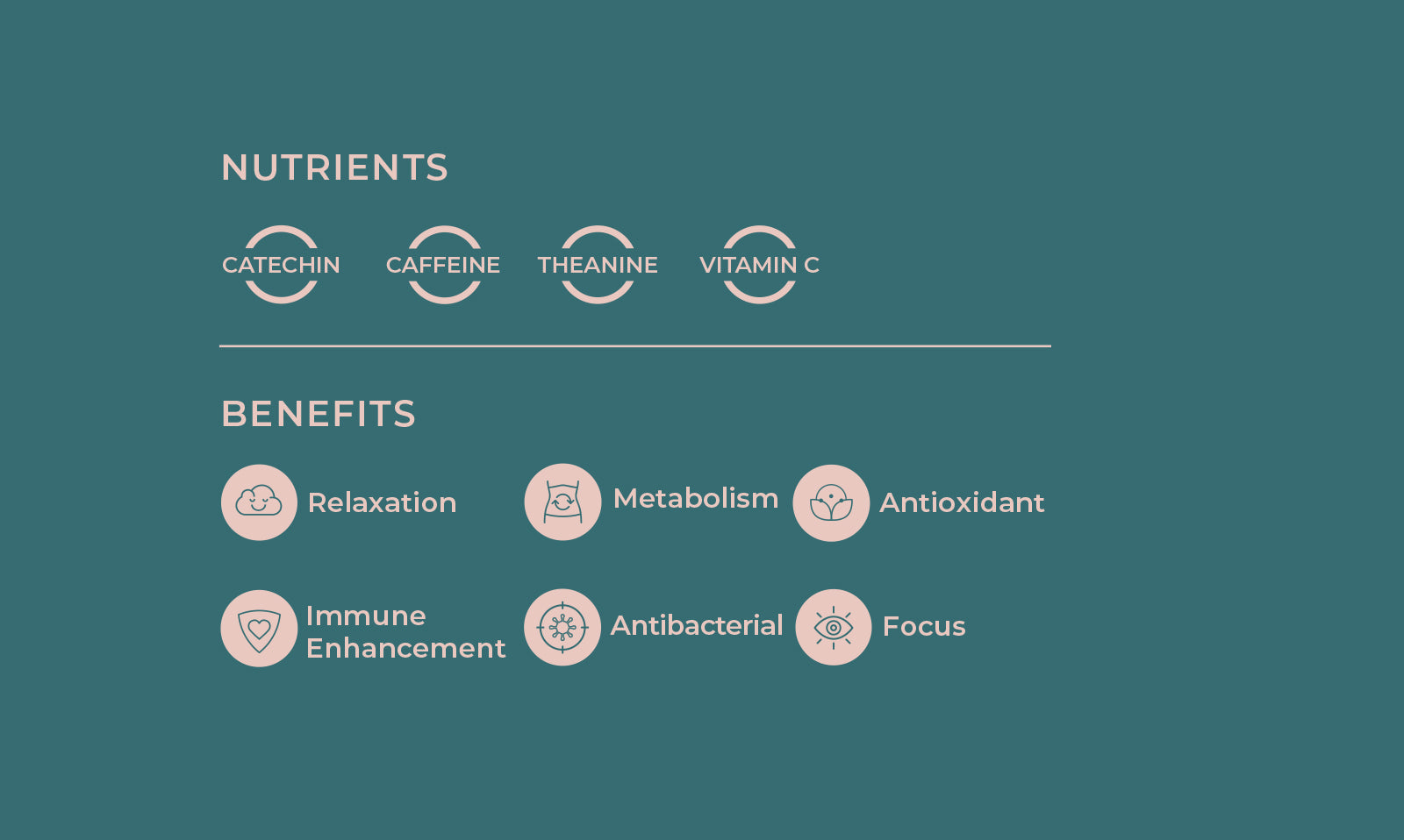 Genmaicha Nutrients Catechin Cafeine Theanine Vitamin C Genmaicha Benefits Relaxation Metabolism Antioxidant Immune Enhancement Antibacterial Focus