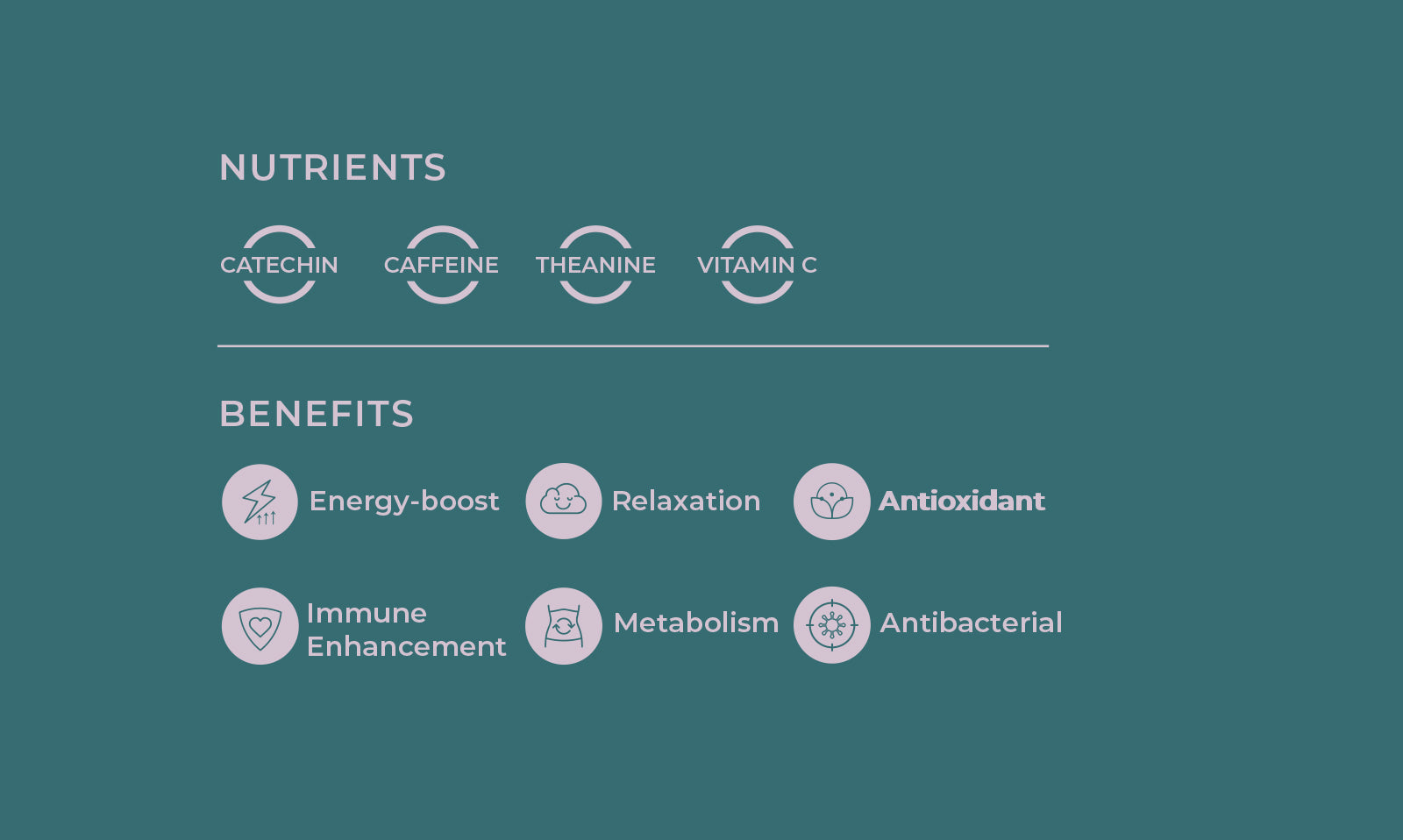 Matcha Nutrients Catechin Cafeine Theanine Vitamin C Matcha Benefits Energy-boost Relaxation Antioxidant Immune Enhancement Metabolism Antibacterial