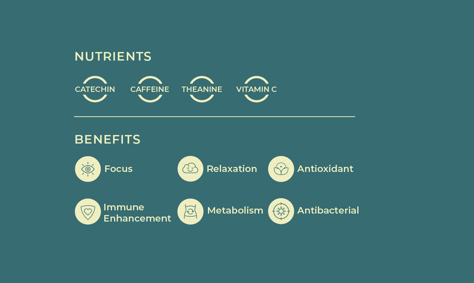 Sencha Nutrients Cathechin Cafeine Theanine Vitamine C Shenca Benefit Focus Relaxation Antioxidant Immune Enhancement Metabolism Antibacterial